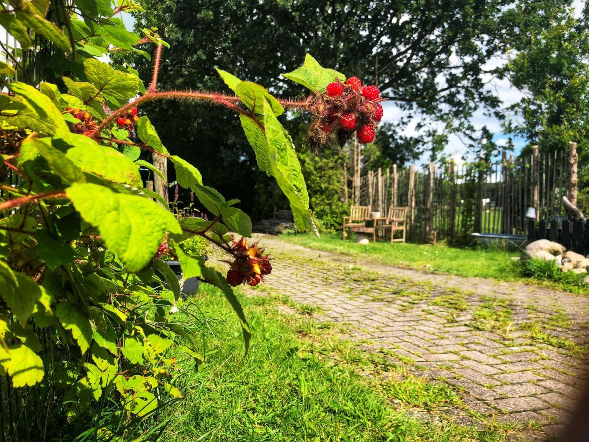B&B Zandhuizen 외부 사진